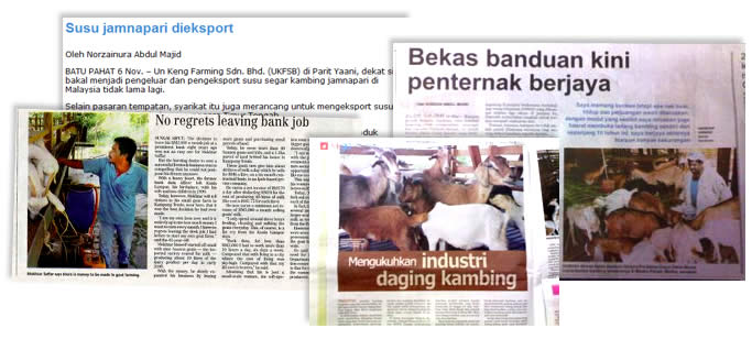 penternak kambing yang berjaya